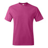 Hanes 5250 Authentic T-Shirt