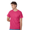 Hanes 5250 Authentic T-Shirt