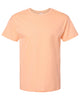 Hanes 5280 Essential-T, Blank T-Shirt