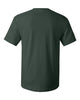 Hanes 5280 Essential-T, Blank T-Shirt