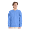 Hanes P160 EcoSmart® Crewneck Sweatshirt