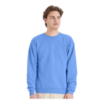 Hanes P160 EcoSmart® Crewneck Sweatshirt