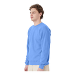 Hanes P160 EcoSmart® Crewneck Sweatshirt