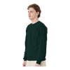 Hanes P160 EcoSmart® Crewneck Sweatshirt