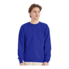 Hanes P160 EcoSmart® Crewneck Sweatshirt