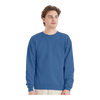 Hanes P160 EcoSmart® Crewneck Sweatshirt