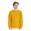 Hanes P160 EcoSmart® Crewneck Sweatshirt