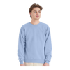 Hanes P160 EcoSmart® Crewneck Sweatshirt