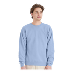 Hanes P160 EcoSmart® Crewneck Sweatshirt