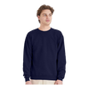 Hanes P160 EcoSmart® Crewneck Sweatshirt