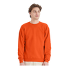Hanes P160 EcoSmart® Crewneck Sweatshirt
