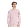 Hanes P160 EcoSmart® Crewneck Sweatshirt