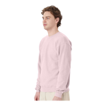 Hanes P160 EcoSmart® Crewneck Sweatshirt