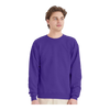 Hanes P160 EcoSmart® Crewneck Sweatshirt