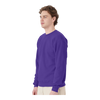 Hanes P160 EcoSmart® Crewneck Sweatshirt