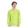 Hanes P160 EcoSmart® Crewneck Sweatshirt