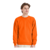 Hanes P160 EcoSmart® Crewneck Sweatshirt
