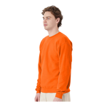Hanes P160 EcoSmart® Crewneck Sweatshirt