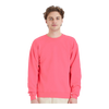 Hanes P160 EcoSmart® Crewneck Sweatshirt