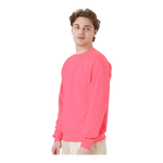 Hanes P160 EcoSmart® Crewneck Sweatshirt