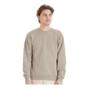 Hanes P160 EcoSmart® Crewneck Sweatshirt