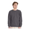 Hanes P160 EcoSmart® Crewneck Sweatshirt