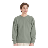 Hanes P160 EcoSmart® Crewneck Sweatshirt