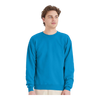 Hanes P160 EcoSmart® Crewneck Sweatshirt
