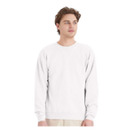 Hanes P160 EcoSmart® Crewneck Sweatshirt