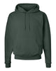 Hanes P170 Ecosmart® Hooded Sweatshirt, Hoodie