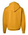 Hanes P170 Ecosmart® Hooded Sweatshirt, Hoodie
