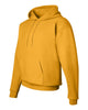 Hanes P170 Ecosmart® Hooded Sweatshirt, Hoodie