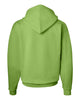 Hanes P170 Ecosmart® Hooded Sweatshirt, Hoodie