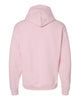 Hanes P170 Ecosmart® Hooded Sweatshirt, Hoodie