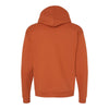 Hanes P170 Ecosmart® Hooded Sweatshirt Hoodie
