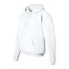 Hanes P170 Ecosmart® Hooded Sweatshirt Hoodie