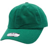 Pit Bull PB136 Cotton Twill Dad Hat