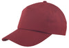 Nissun 5 Panel Cotton Twill Cap - LTGC