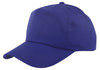 Nissun 5 Panel Cotton Twill Cap - LTGC