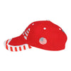 Mega Cap 6917Y Youth Low Profile USA Flag Heavy Brushed Twill