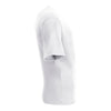 A4 N3512 Softek Short Sleeve V-Neck