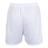 A4 NB5294 Sprint 4" Lined Tricot Mesh Shorts