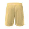 A4 NB5384 Youth 6" Pocketed Mesh Short