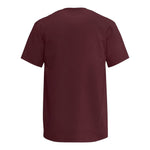 Next Level 1810 Men's Ideal Jersey T-Shirt