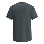 Next Level 1810 Men's Ideal Jersey T-Shirt