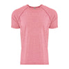 Next Level 2050 Men's Mock Twist Raglan T-Shirt