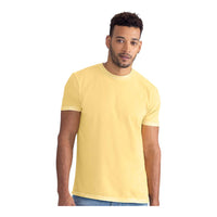 Next Level 3600SW Soft Wash T-Shirt