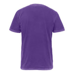 Next Level 3600SW Soft Wash T-Shirt