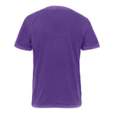 Next Level 3600SW Soft Wash T-Shirt