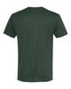 Next Level 6010 Triblend T-Shirt - Black Forest